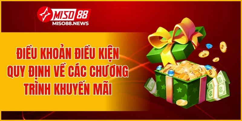Điều khoản điều kiện quy định về các chương trình khuyến mãi