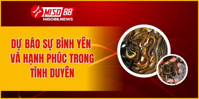 Dự báo sự bình yên và hạnh phúc trong tình duyên