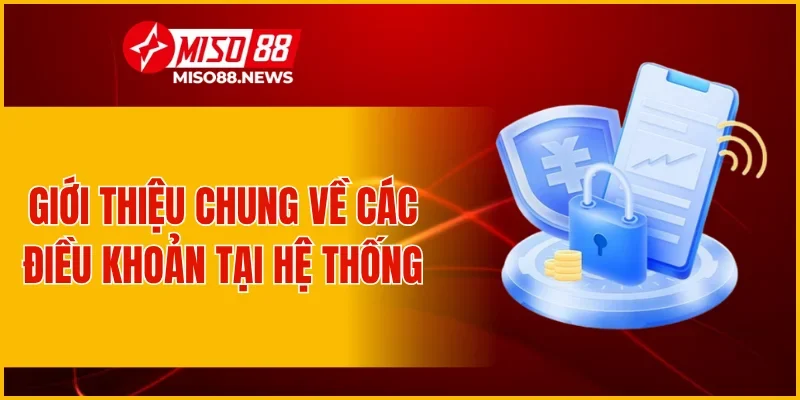 Giới thiệu chung về các điều khoản tại hệ thống