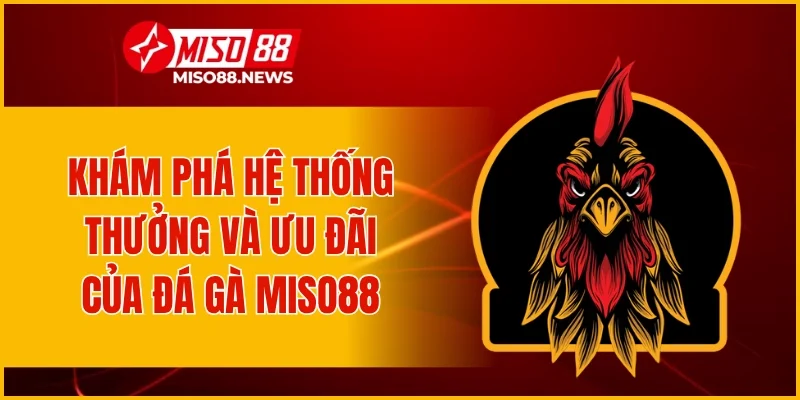 Khám phá hệ thống thưởng và ưu đãi của đá gà Miso88