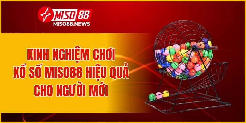 Kinh nghiệm chơi xổ số Miso88 hiệu quả cho người mới