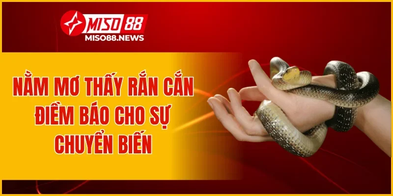 Nằm mơ thấy rắn cắn điềm báo cho sự chuyển biến