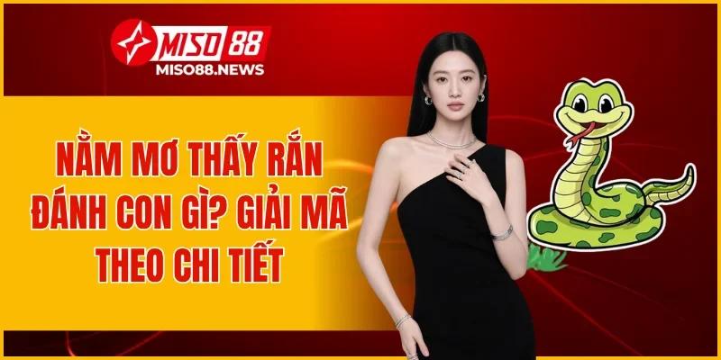 Nằm Mơ Thấy Rắn