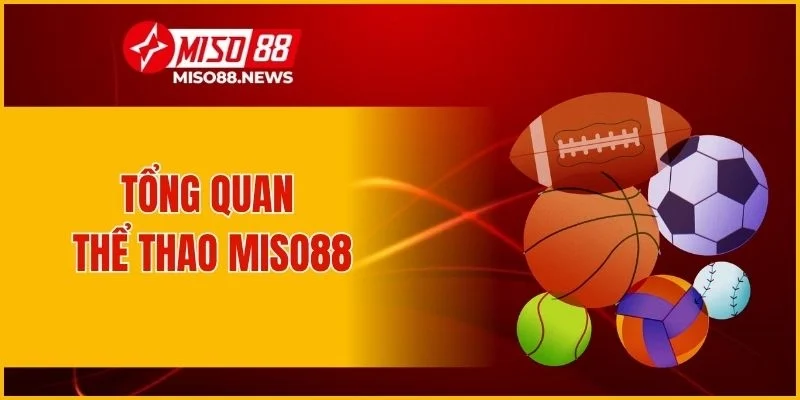 Tổng quan thể thao Miso88