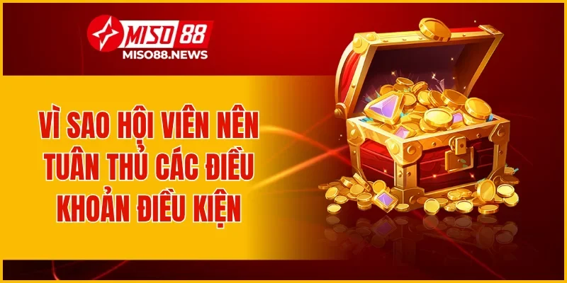 Vì sao hội viên nên tuân thủ các điều khoản điều kiện